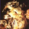 Varroa